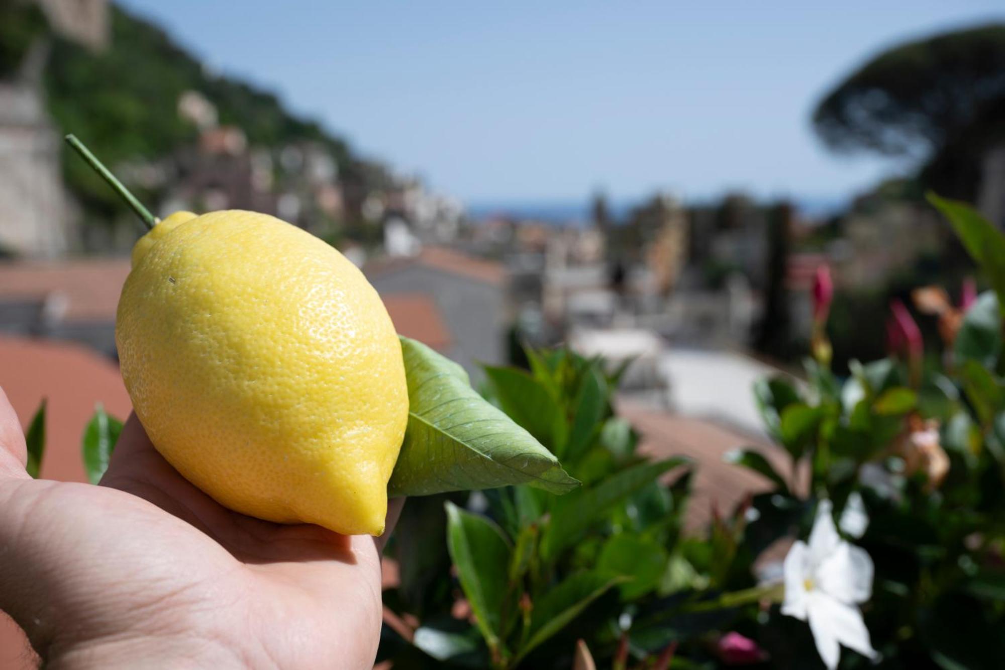 Valle D'Amalfi Suites 外观 照片
