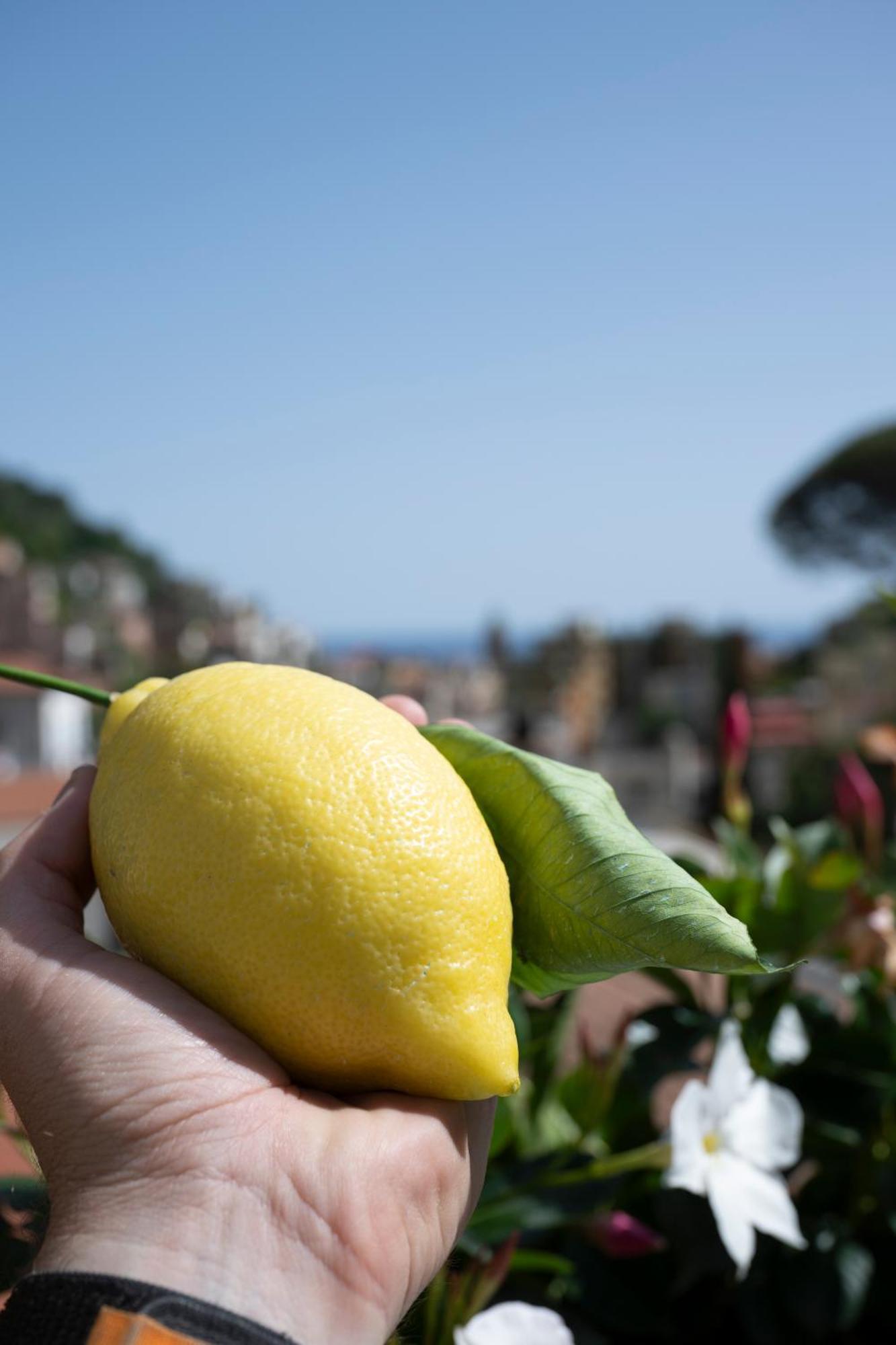 Valle D'Amalfi Suites 外观 照片